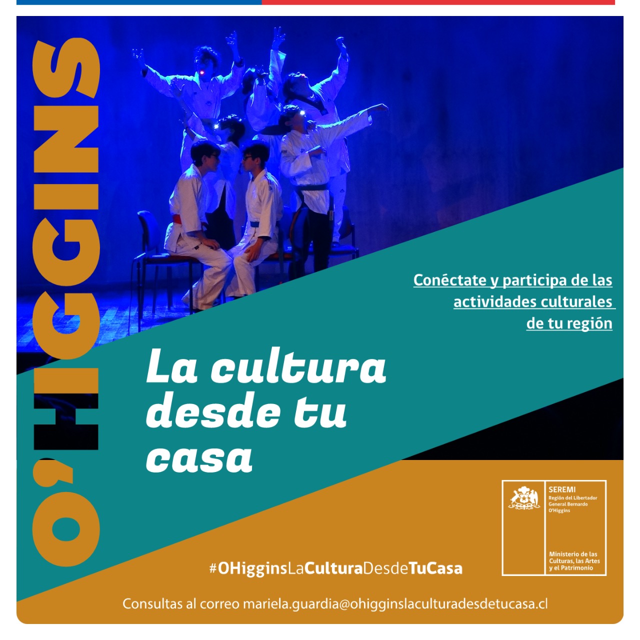 Se amplió el periodo de consultas del programa OHiggins la Cultura desde tu casa