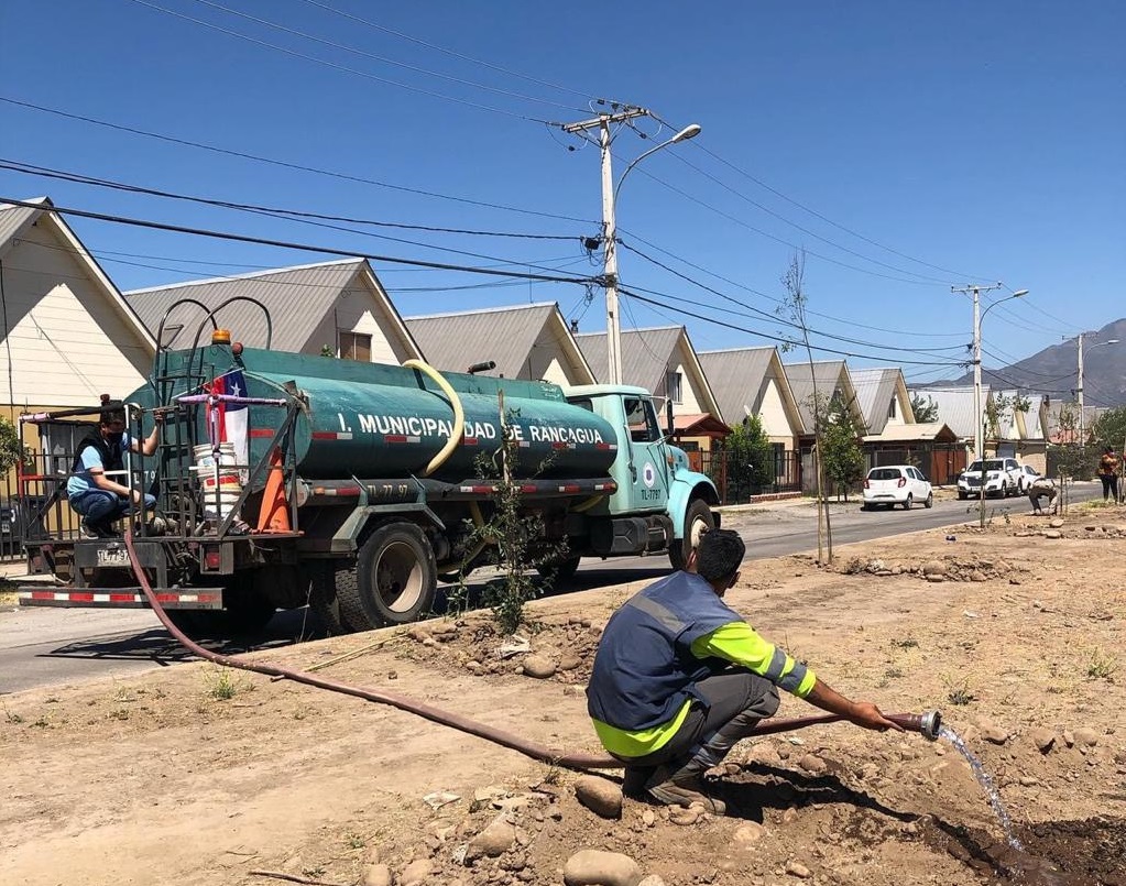 MÁS DE CIEN ÁRBOLES SON PLANTADOS EN SECTOR PONIENTE DE LA RANCAGUA 2