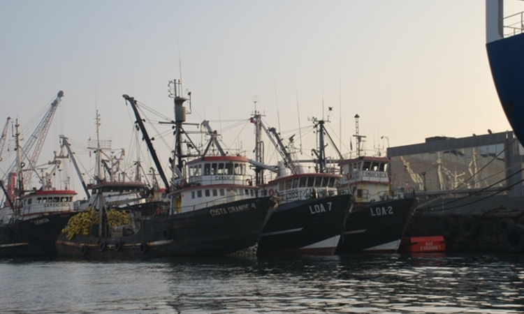 Comisión del Senado aprueba poner fin a renovación indefinida de licencias industriales de pesca 2
