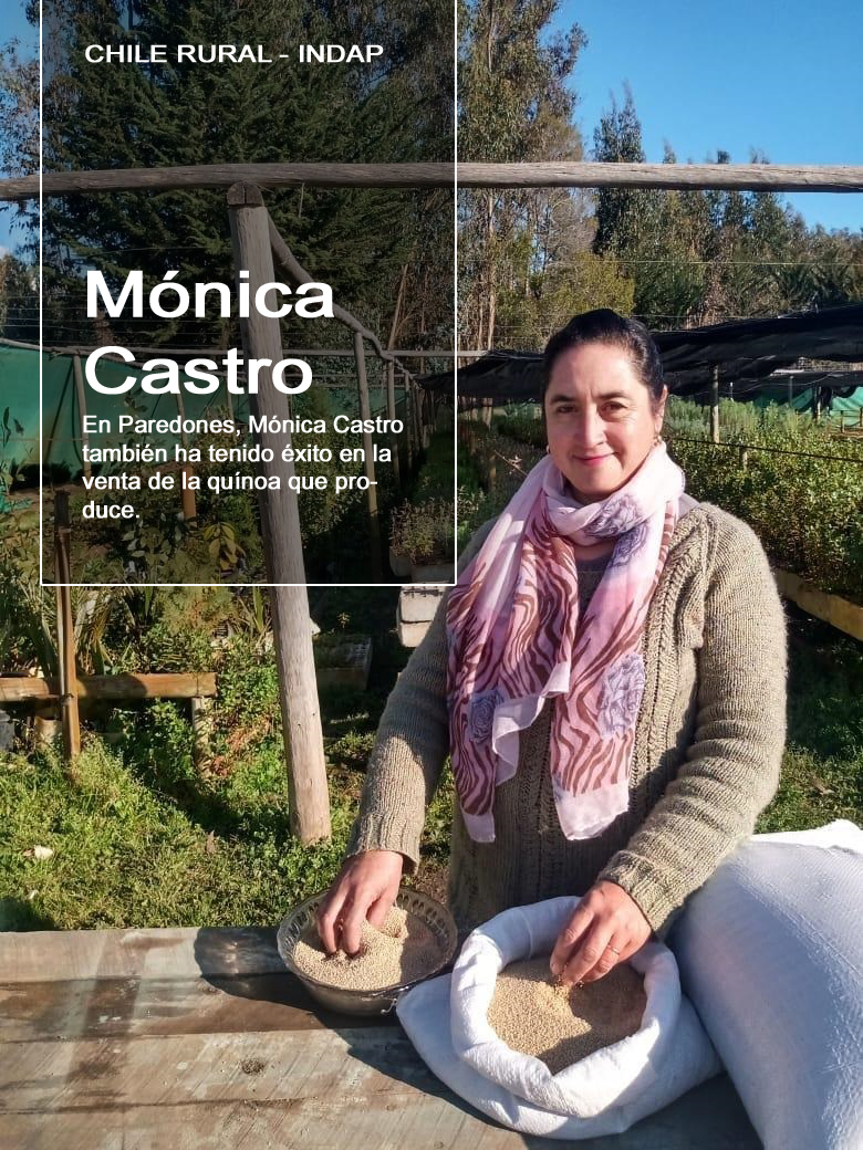 Pequeños agricultores cuentan cómo se han adaptado a las nuevas condiciones de mercado por la pandemia 2