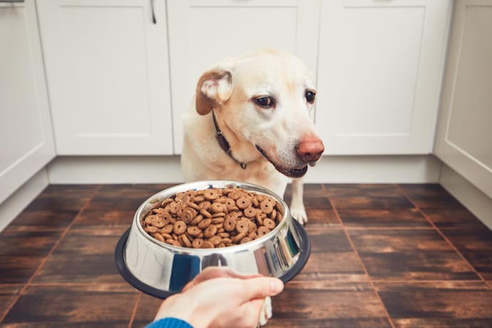 alimentos de mascotas