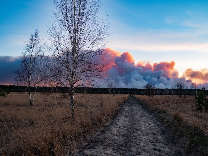 Chernobyl gran incendio forestal extinguido con la ayuda de drones 4