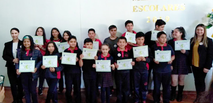 SUPERINTENDENCIA DE EDUCACIÓN LANZA WEB QUE REÚNE PRÁCTICAS EXITOSAS DE ESTABLECIMIENTOS DE TODO EL PAÍS 2