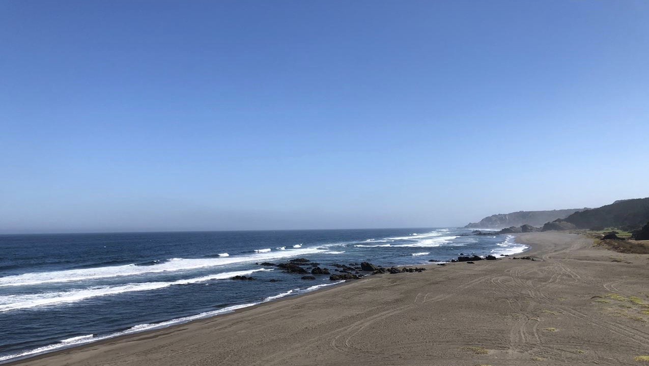 PLAYA CARDENAL CARO