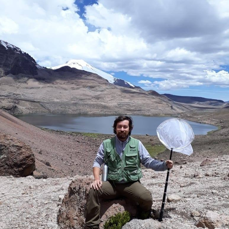 POR QUÉ NO ESTAMOS ANTE UNA PLAGA DE POLILLAS Dr Hugo Benitez UCM