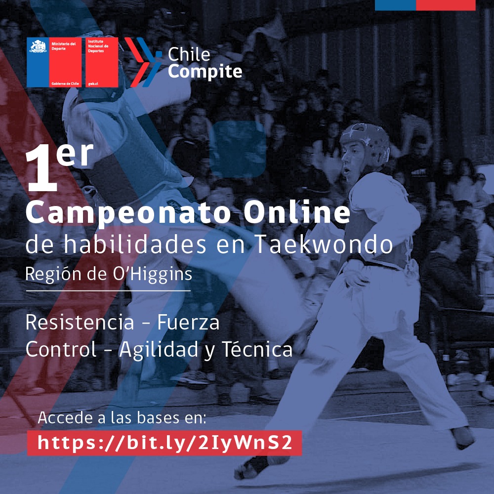 PRMER CAMPEONATO ONLINE DE HABILIDADES EN TAEKWONDO 2