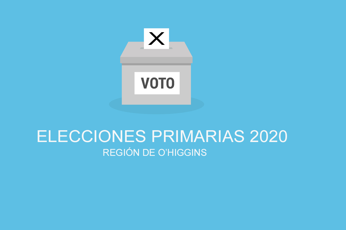 ELECCIONES PRIMARIAS 2020