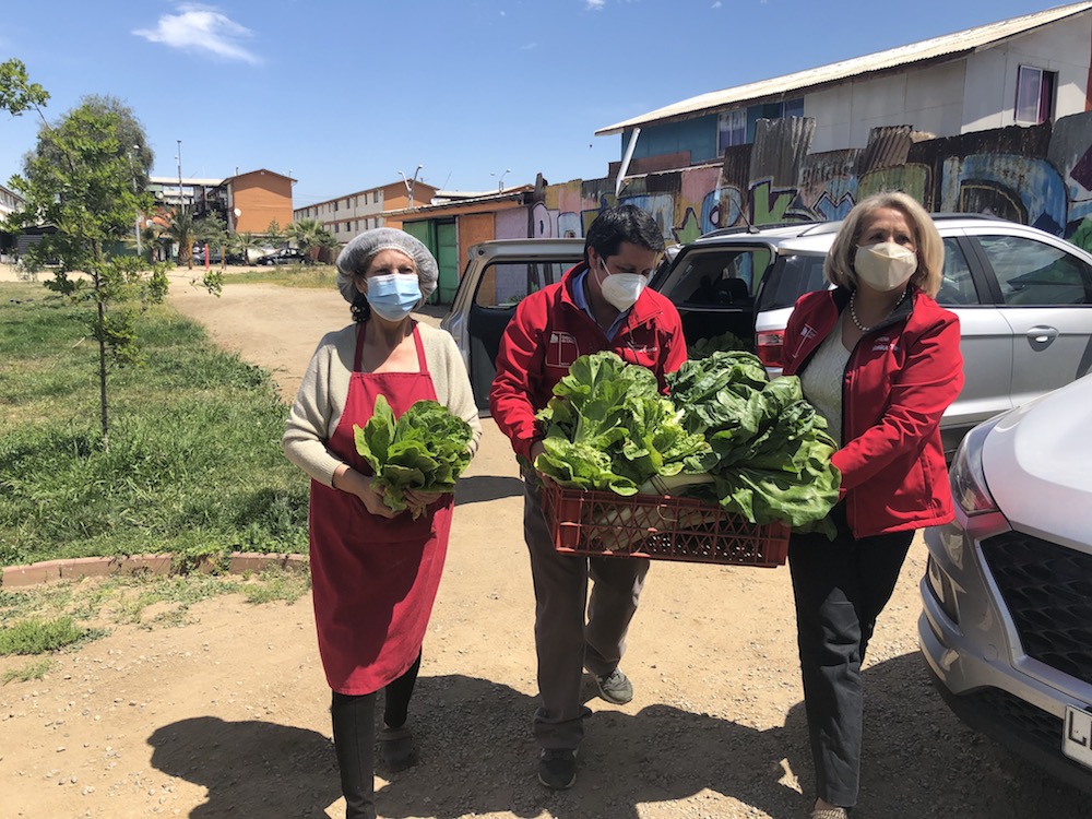 ENTREGAN HORTALIZAS A COMEDOR SOLIDARIO DE BALTAZAR CASTRO DE RANCAGUA