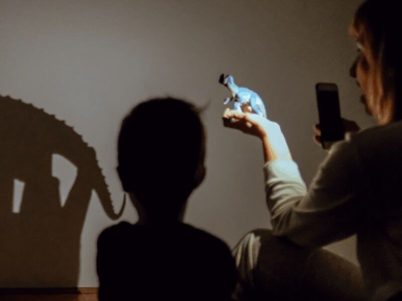 ACTIVIDADES COTIDIANAS PARA JUGAR Y APRENDER CON LOS NIÑOS Y NIÑAS EN CASA SOMBRAS AMIGABLES