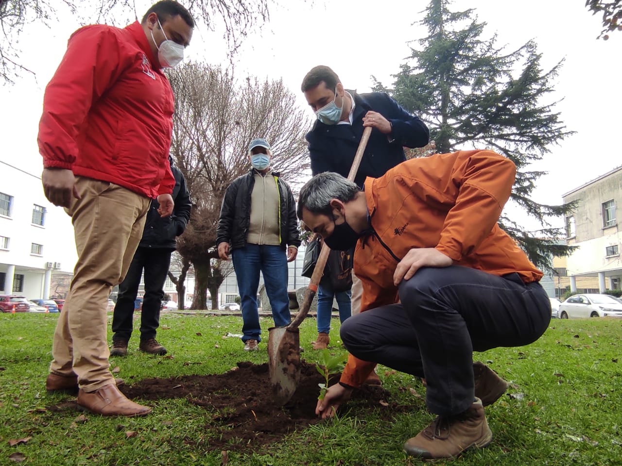 CORMA DONA 500 ÁRBOLES NATIVOS A BOMBEROS Y JUNTAS DE VECINOS DE ÑUBLE