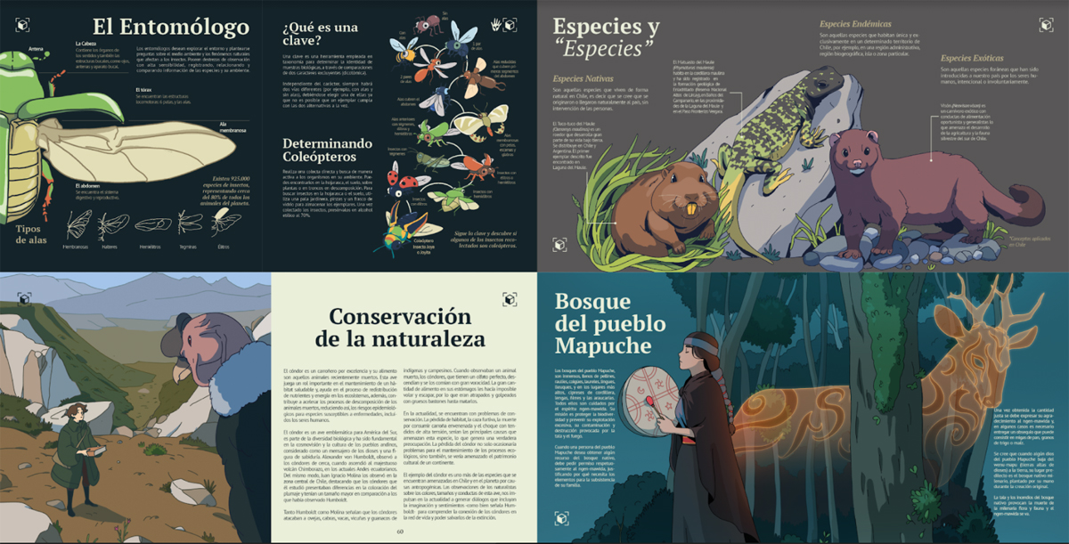 Libro con realidad aumentada enseña la obra del Abate Molina y la biodiversidad de Chile Central 6