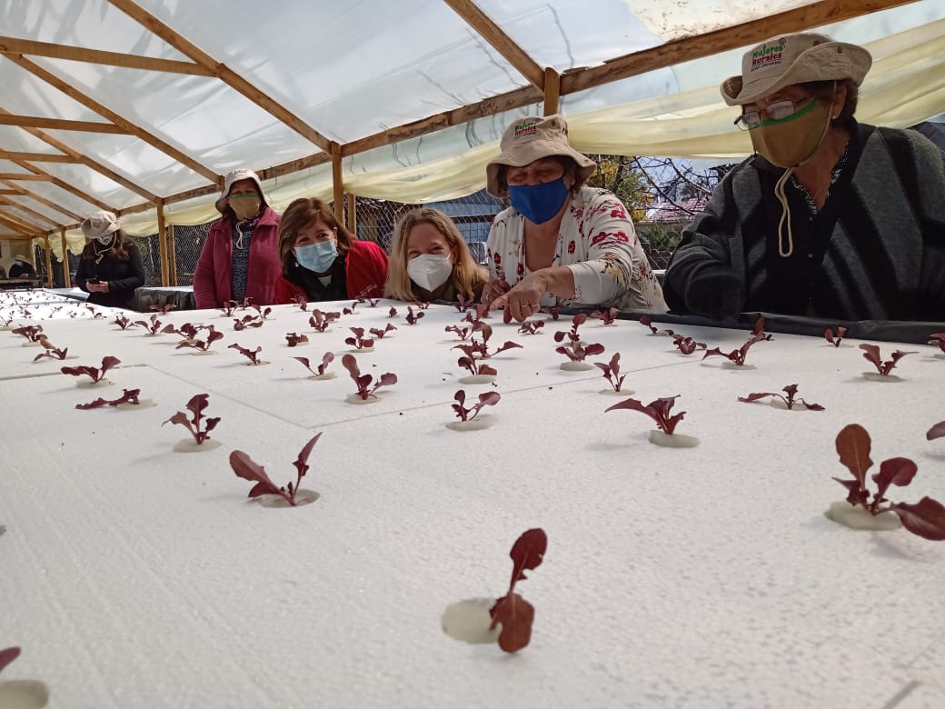 MUJERES RURALES ENTRE VECINAS CRECIENDO AGUA BUENA SAN FERNANDO