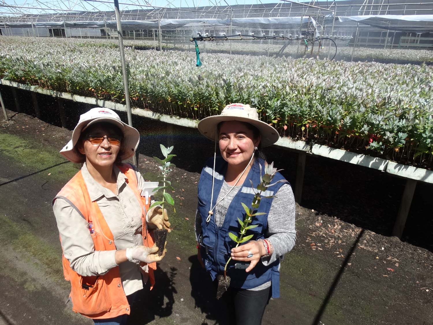 Más Mujer Forestal 9