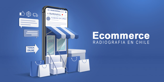 radiografia ecommerce