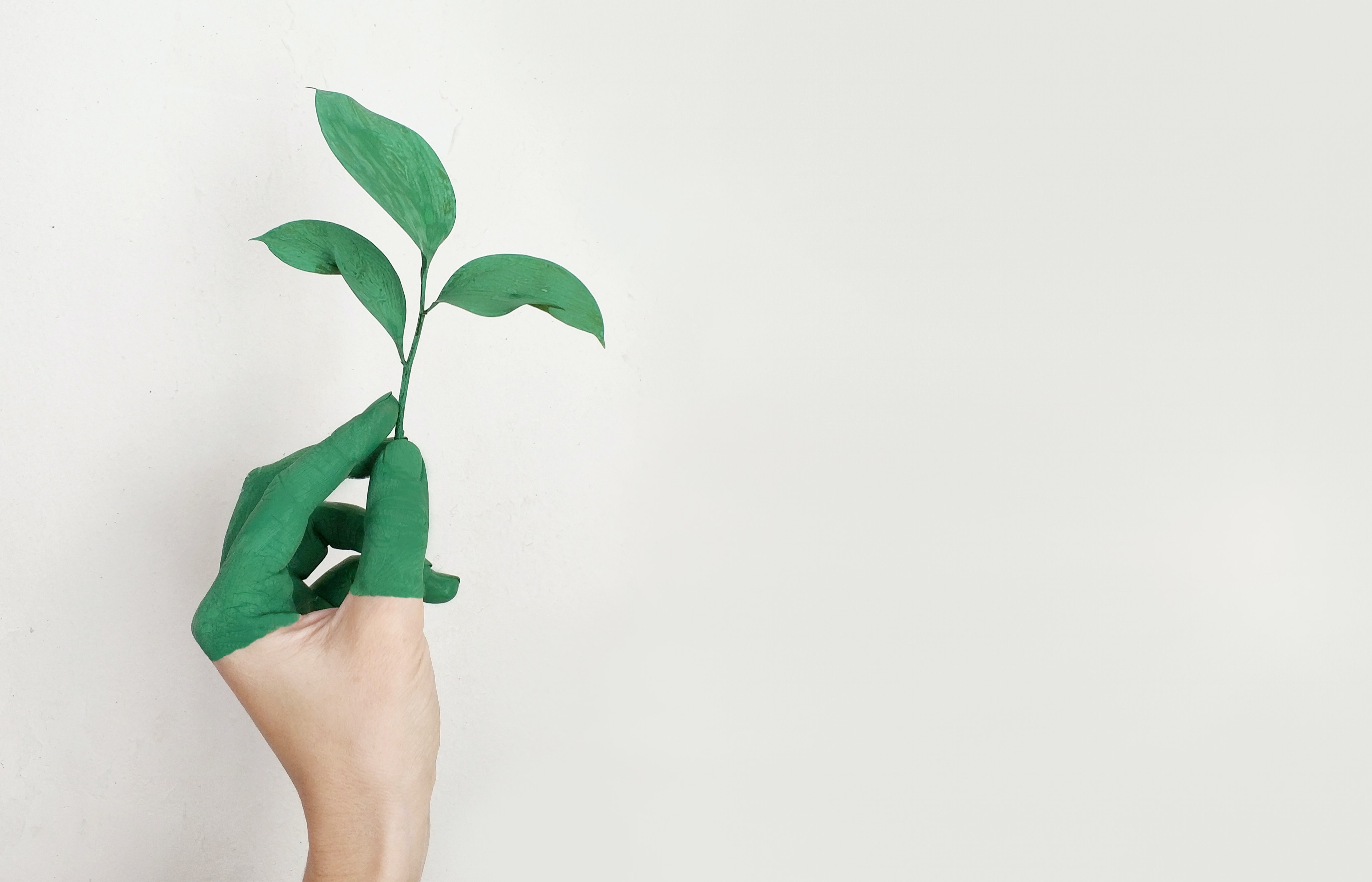 CONSUMIDORES 1 DE PRODUCTOS CON SELLO VERDE SON VISTOS COMO PERSONAS MÁS INTELIGENTES POR SUS PARES pexels alena koval 886521