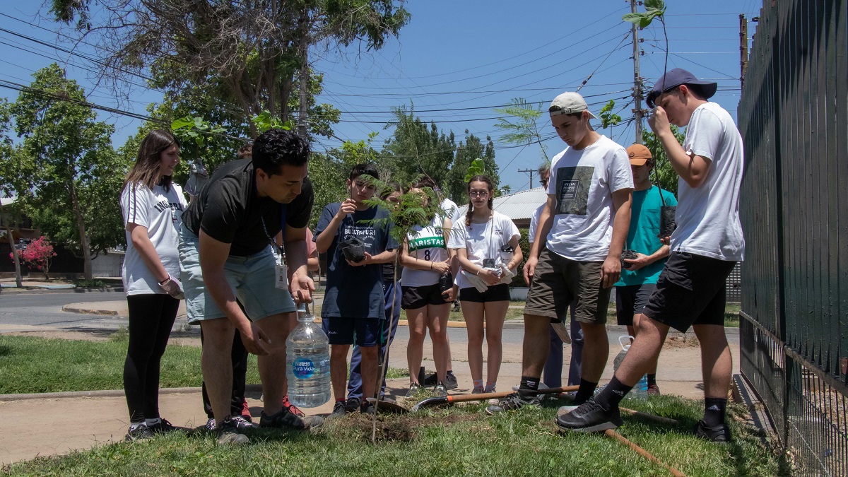 ALUMNOS DEL INSTITUTO OHIGGINS REALIZAN PLANTACIÓN DE ÁRBOLES EN BARRIO MANUEL RODRÍGUEZ DE RANCAGUA