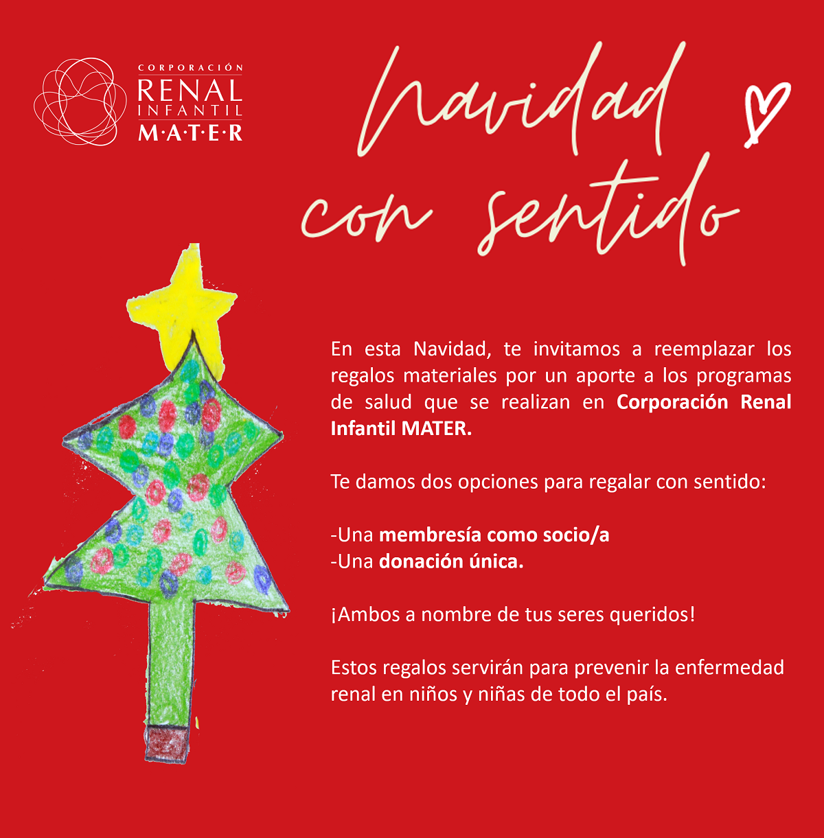 NAVIDAD CON SENTIDO INICIATIVA BUSCA RECAUDAR FONDOS PARA AYUDAR EN LA SALUD DE LOS NIÑOS DE CHILE 2