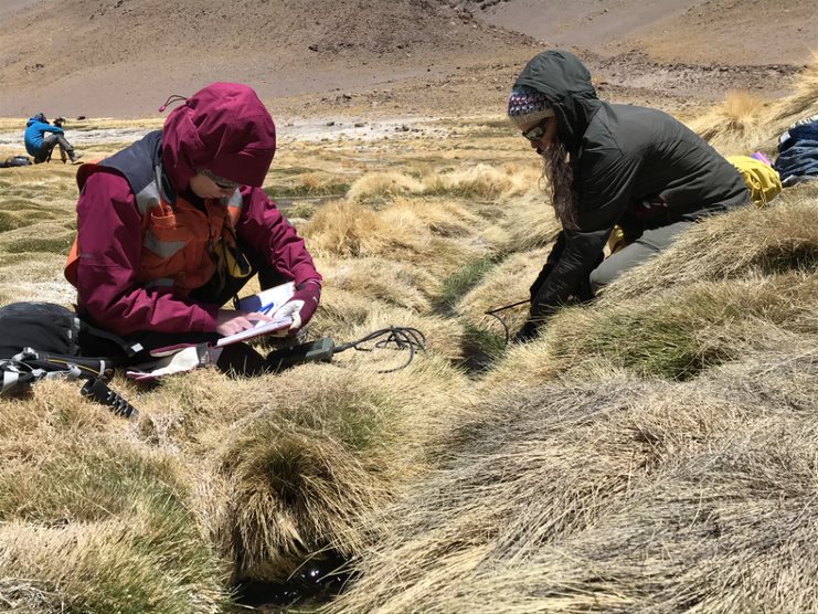 ESTUDIO APORTA DATOS INÉDITOS SOBRE PROCESO DE CONCENTRACIÓN DE LITIO EN EL NORTE DE CHILE 2