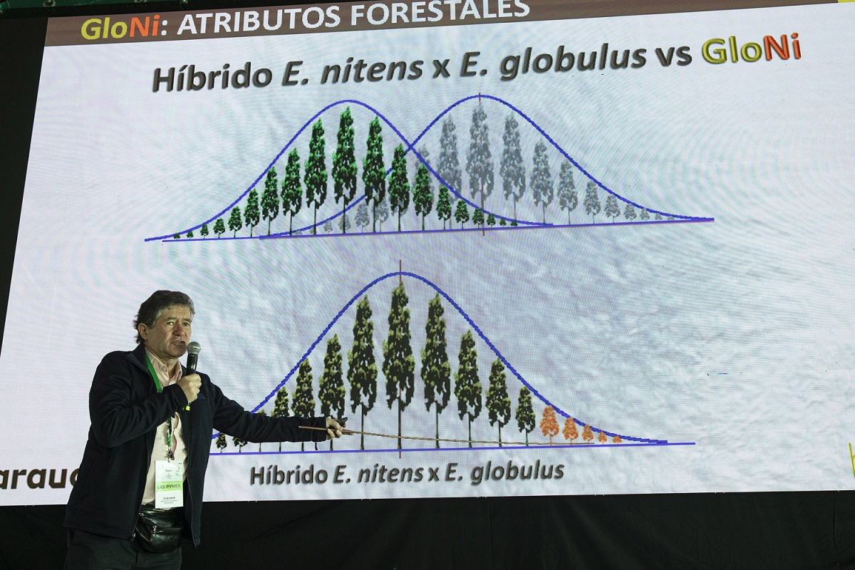 Trawu Forestal 2022