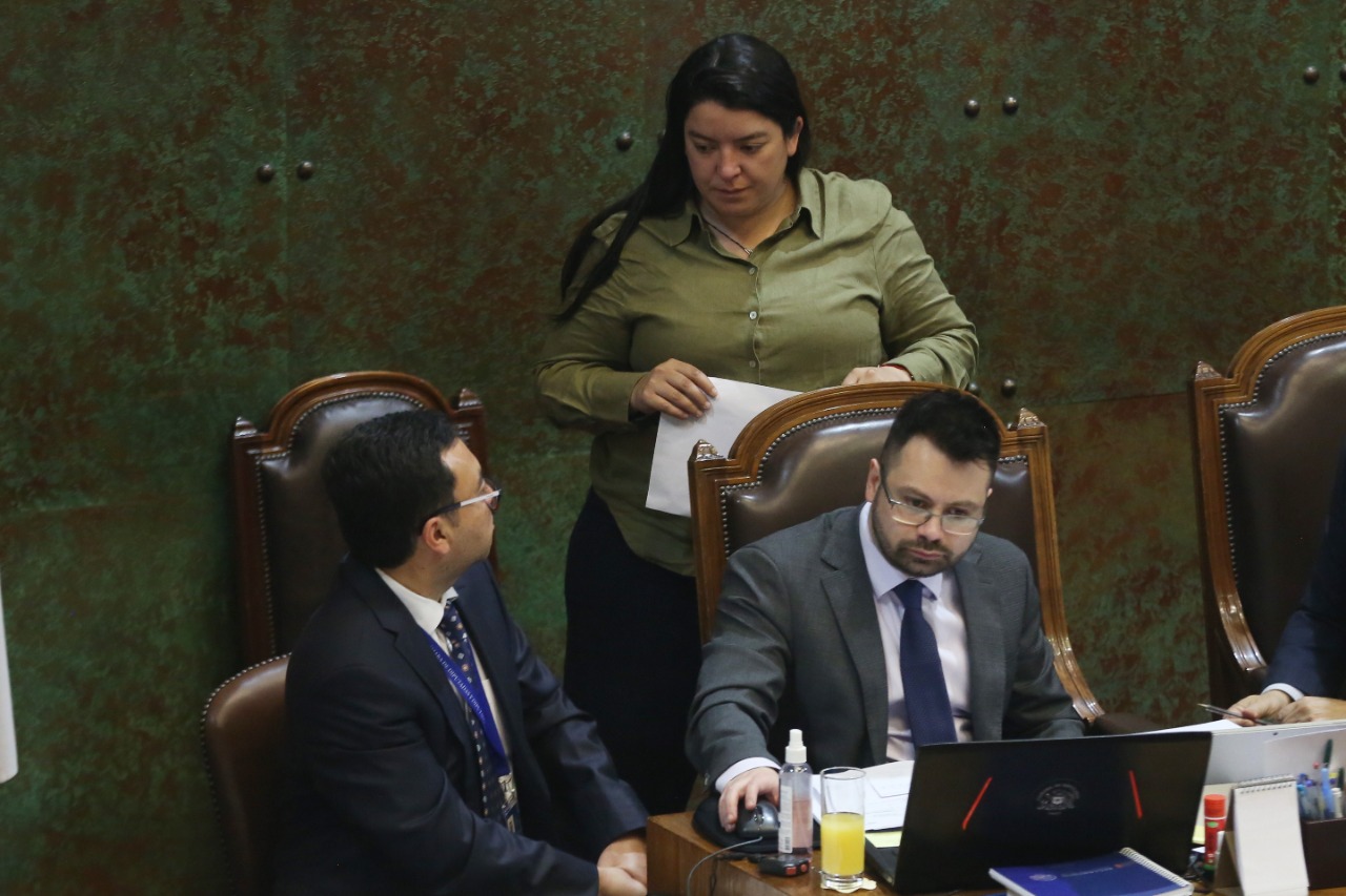 CÁMARA APRUEBA SOLICITUD DE DIPUTADA ROMERO PARA CONSTRUIR CENTRAL DE MONITOREO TELEMÁTICO DE CASOS DE VIOLENCIA INTRAFAMILIAR EN OHIGGINS