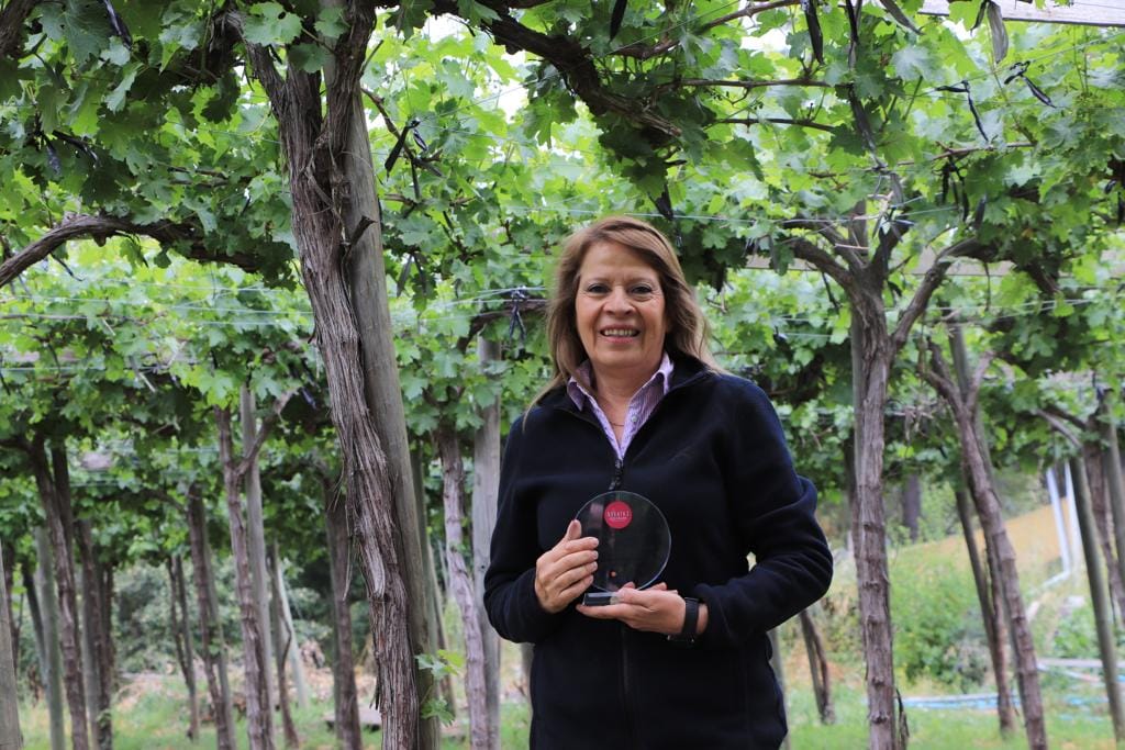 DE PALMILLA SON LOS DOS MEJORES VINOS CAMPESINOS DE CATADOR 2022 1