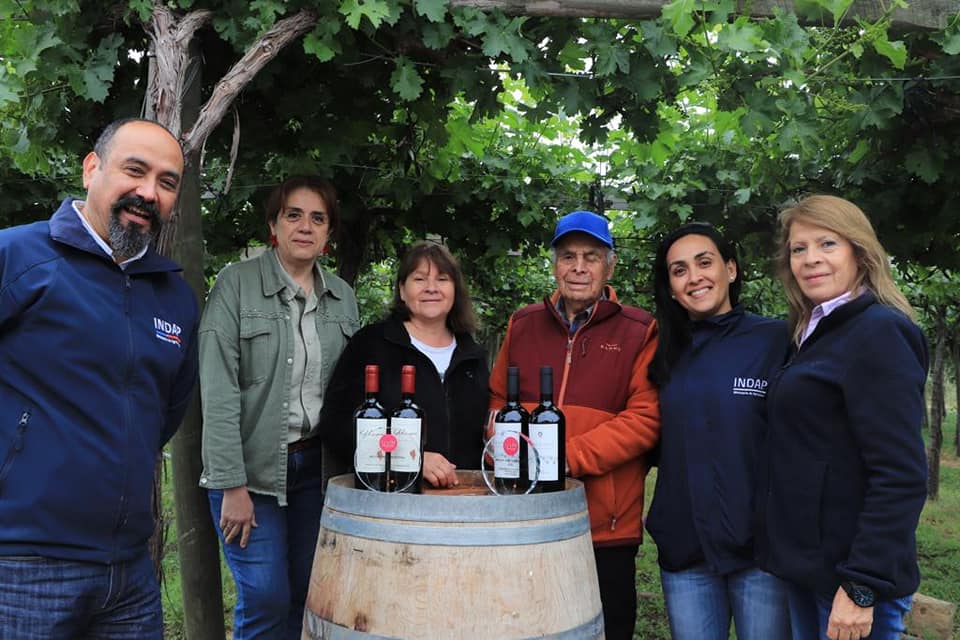 DE PALMILLA SON LOS DOS MEJORES VINOS CAMPESINOS DE CATADOR 2022 3