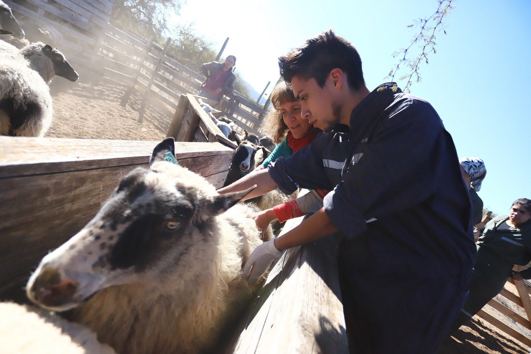 Universidad de OHiggins expondrá en Expo Chile Agrícola 2022 2