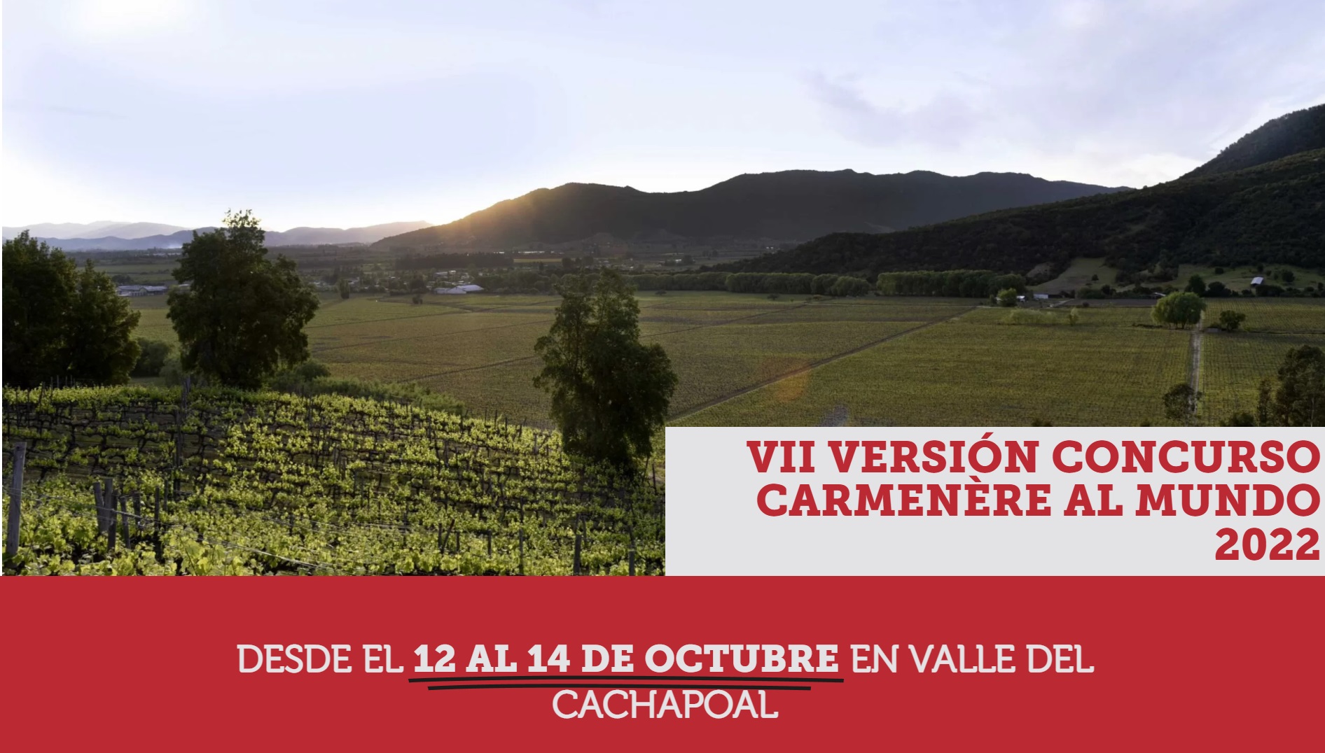 CONCURSO CARMENÈRE AL MUNDO ESPECIALISTAS NACIONALES E INTERNACIONALES ELEGIRÁN EL MEJOR VINO DE CHILE
