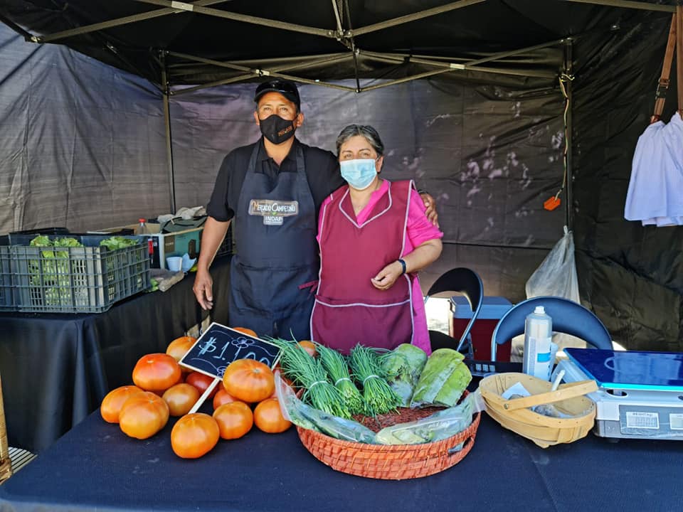 TRES NUEVOS MERCADOS CAMPESINOS IMPLEMENTARÁ INDAP EN LA REGIÓN mercado campesino de Rancagua 2