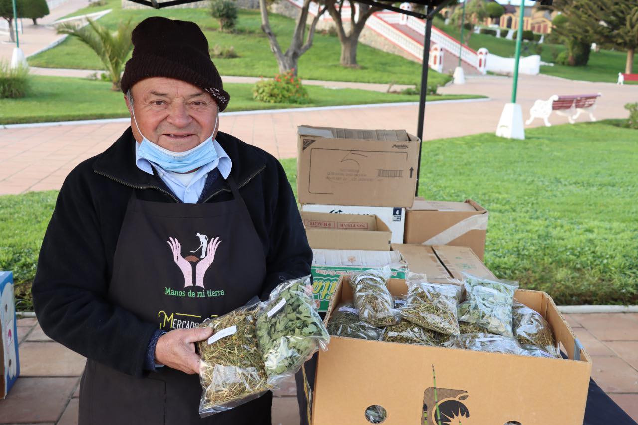 TRES NUEVOS MERCADOS CAMPESINOS IMPLEMENTARÁ INDAP EN LA REGIÓN mercado campesino pichilemu 3