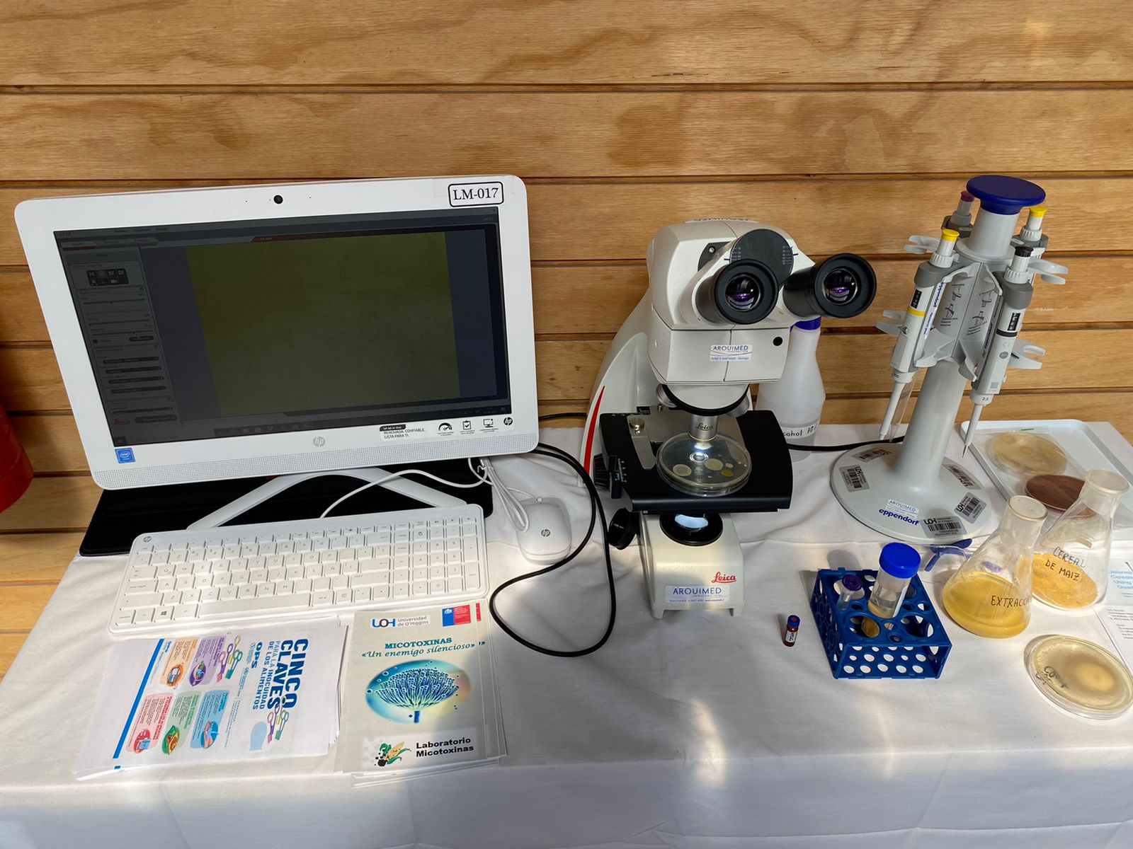 ESTUDIANTES DE LA REGIÓN CONOCEN LABORATORIOS DE INOCUIDAD ALIMENTARIA Y DE MICOTOXINAS DE LA UOHFoto 5 1