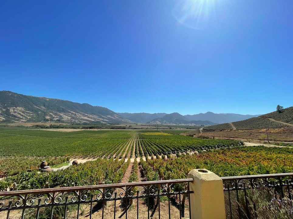 CON CATAS DE VINOS Y REALIDAD INMERSIVA 360 REGIÓN DE OHIGGINS ALISTA SU PARTICIPACIÓN EN LA FERIA DE TURISMO MÁS IMPORTANTE DE LATINOAMÉRICA 2