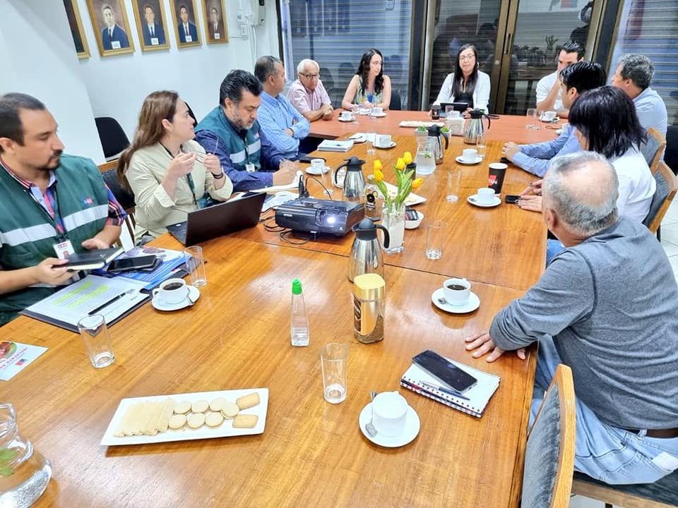 DELEGACIÓN PRESIDENCIAL COORDINÓ SERVICIOS PÚBLICOS PARA PREVENIR LA PROPAGACIÓN DE LA GRIPE AVIAR EN COLCHAGUA