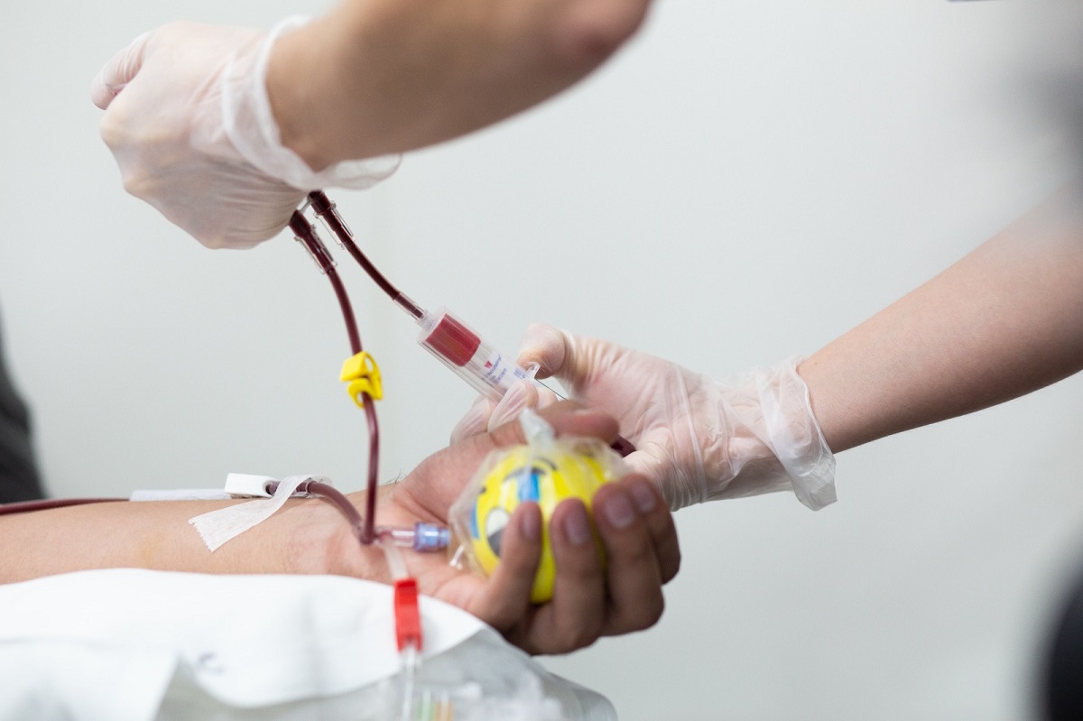 DÍA MUNDIAL DEL CÁNCER INFANTIL ADOLESCENTE CHILENA BUSCA SU HERMANO DE SANGRE PARA SOBREVIVIR 2