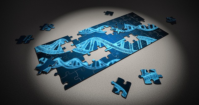 EMPRESA MULTINACIONAL EN ANÁLISIS GENÉTICO Y BIOTECNOLOGÍA LLEGA A CHILE MACROGENCHILE LRMCOMUNICACIONES