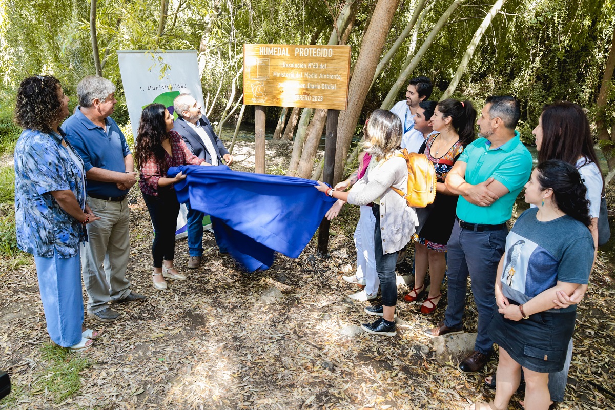 DECLARAN HUMEDAL URBANO PROTEGIDO EN LA COMUNA DE COLTAUCO 2