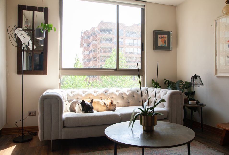 EXCLUSIVA MARCA DE MUEBLES SOSTENIBLES LANZA DESCUENTOS MENSUALES DESDE ESCRITORIOS HASTA CLÓSETS HECHOS EN CHILE 1