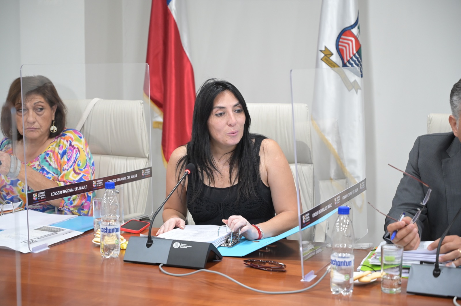 CORE APROBÓ PROYECTO DE REACTIVACIÓN ECONÓMICA DE EMERGENCIA PARA MIPYMES MAULINAS 2