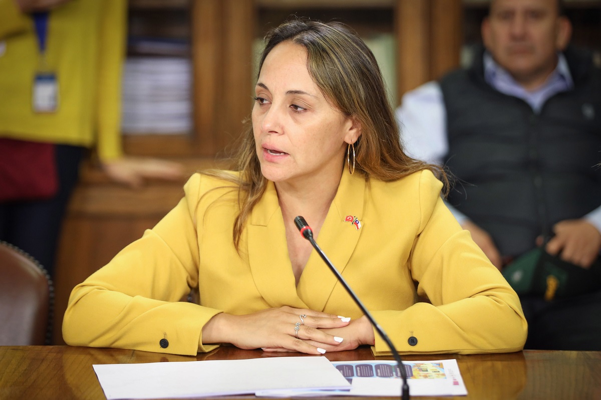 ANTE REGRESO A CLASES DIPUTADA MORALES PIDIÓ AL MINEDUC DETALLAR MEDIDAS PARA LA APLICACIÓN DE LA LEY TEA