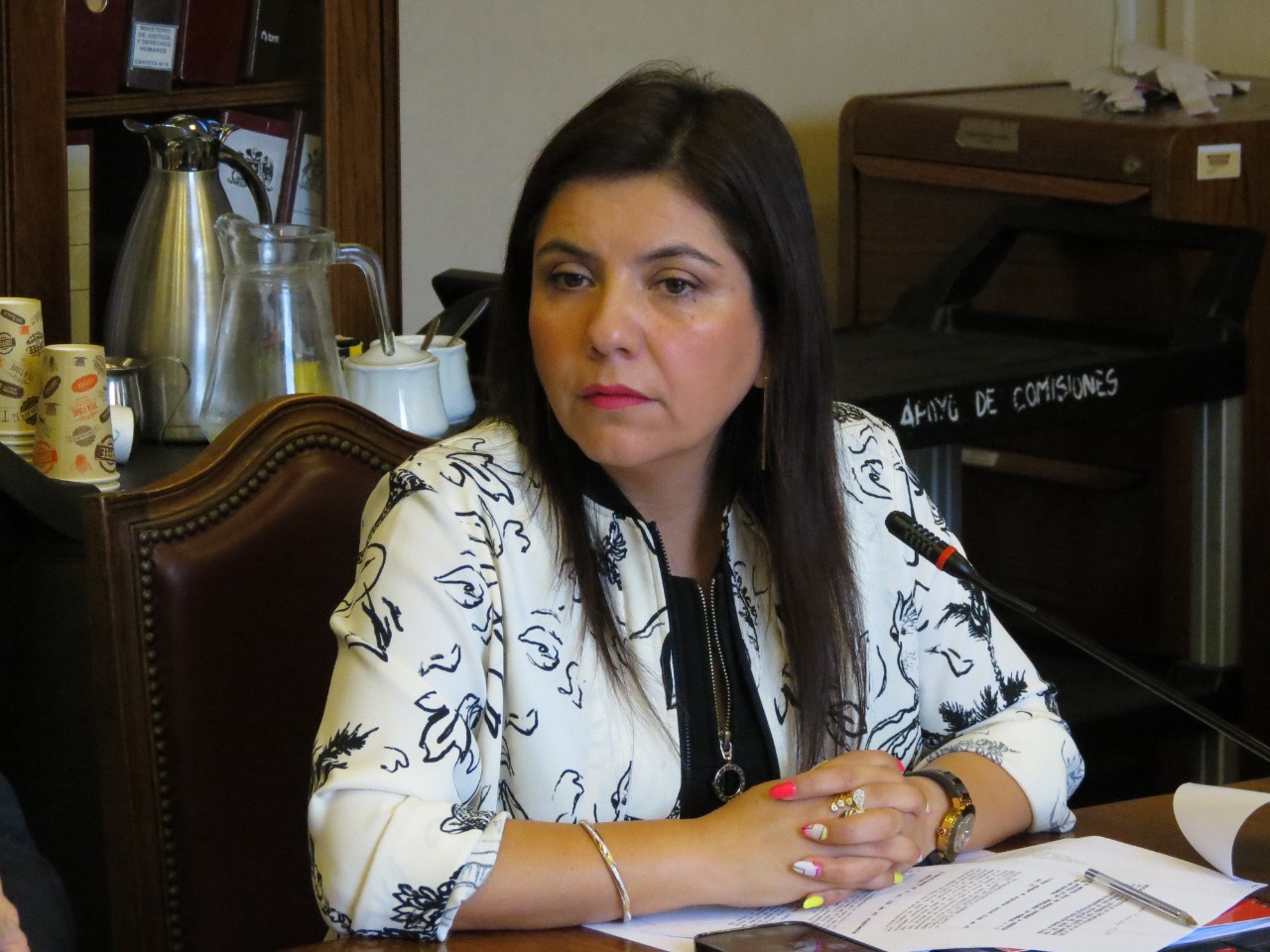 DIPUTADA DANISA ASTUDILLO PS ACUSÓ AUSENCIA DE POLÍTICAS PÚBLICAS DENTALES