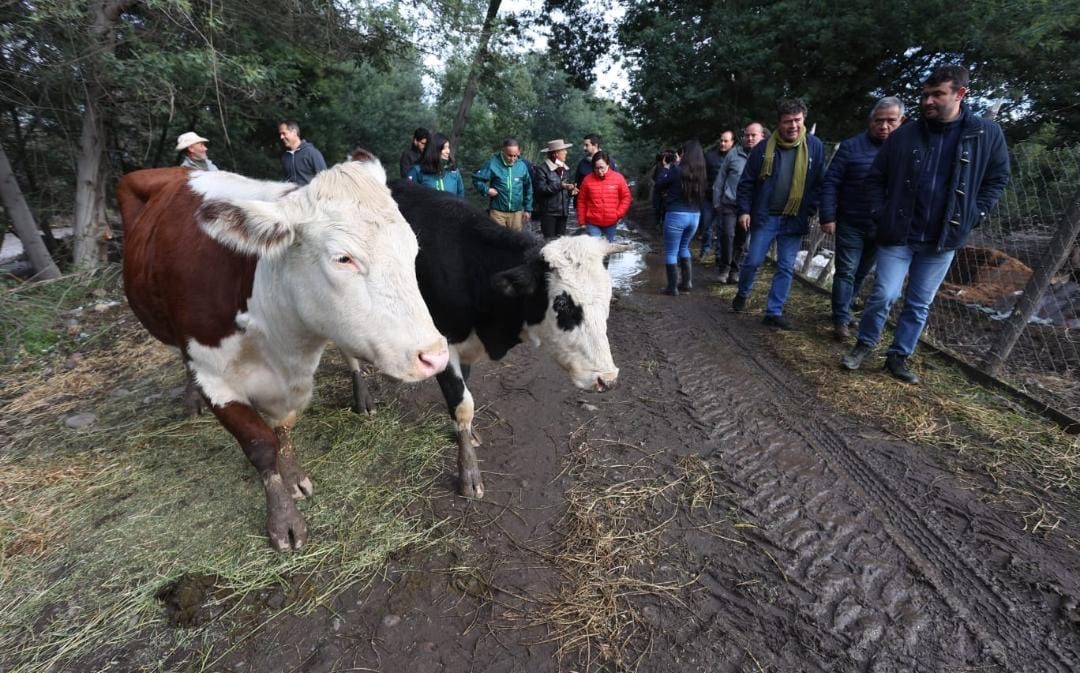 MINISTERIO DE AGRICULTURA Y AGROSEGUROS LLAMAN A AGRICULTORES AFECTADOS POR LLUVIAS E INUNDACIONES A DENUNCIAR SUS SINIESTROS 1
