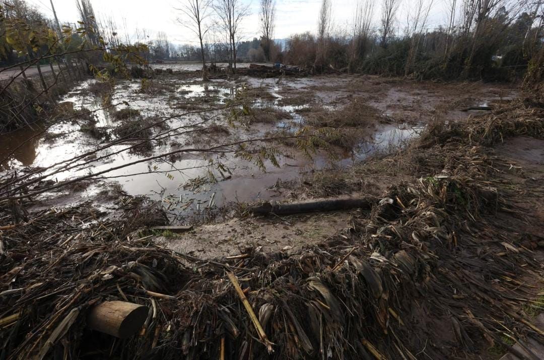 MINISTERIO DE AGRICULTURA Y AGROSEGUROS LLAMAN A AGRICULTORES AFECTADOS POR LLUVIAS E INUNDACIONES A DENUNCIAR SUS SINIESTROS 1a