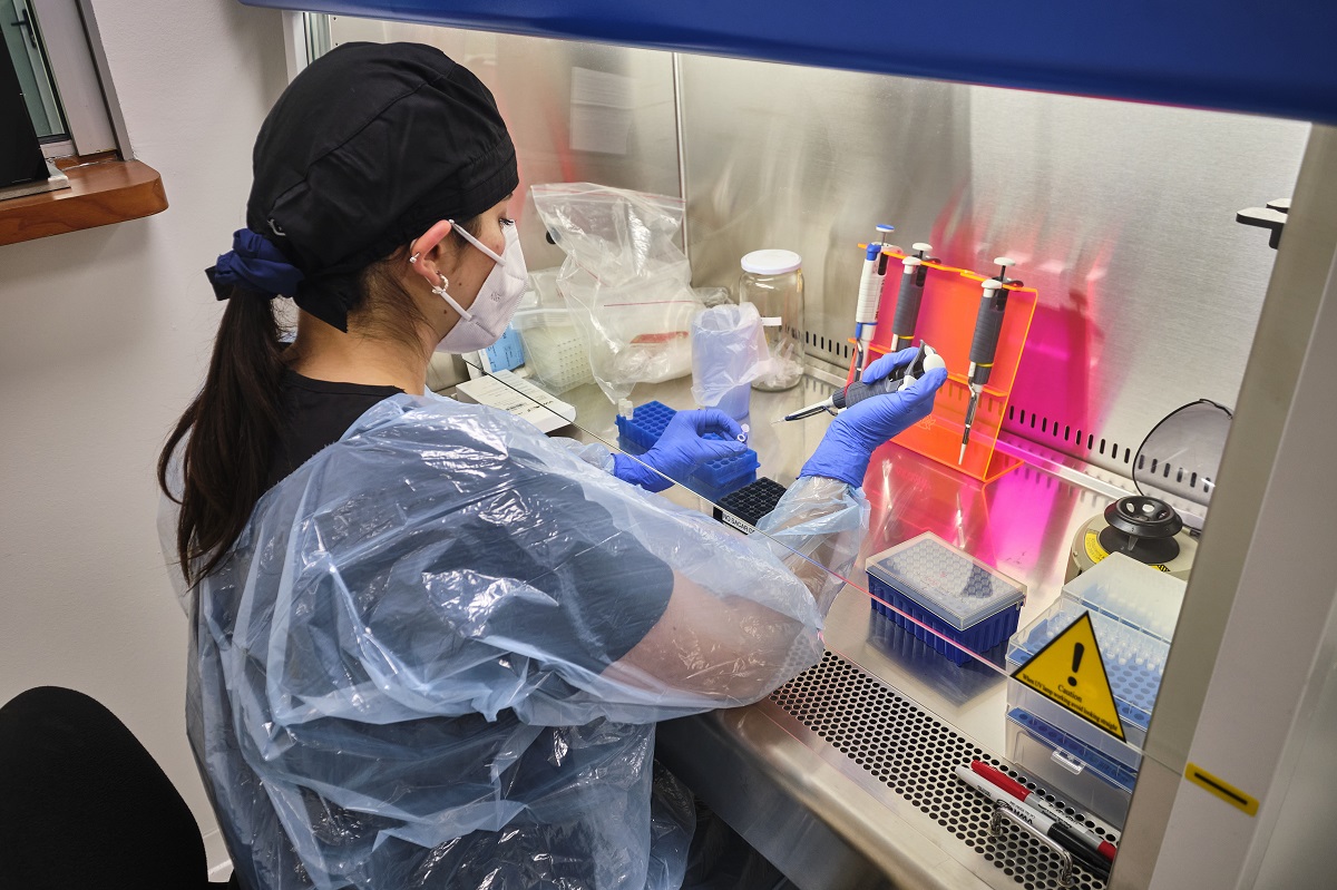 LABORATORIO NACIONAL DA CON FÓRMULA QUE PODRÍA APORTAR A DESCOMPRIMIR LA SALUD EN CHILE 1