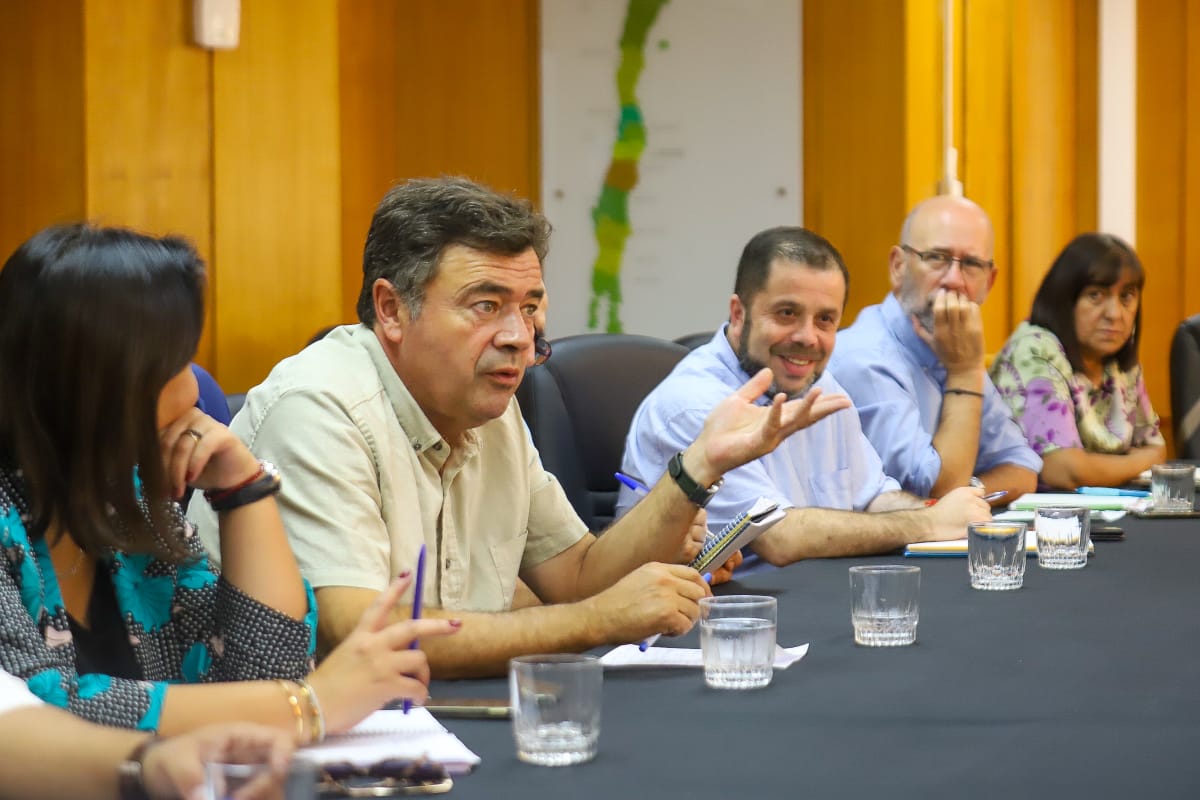 MINISTERIO DE AGRICULTURA CONFIRMA PRIMER CASO DE INFLUENZA AVIAR EN PLANTEL PRODUCTIVO Y SAG AUTO SUSPENDE EXPORTACIONES DE CARNES DE AVE 1