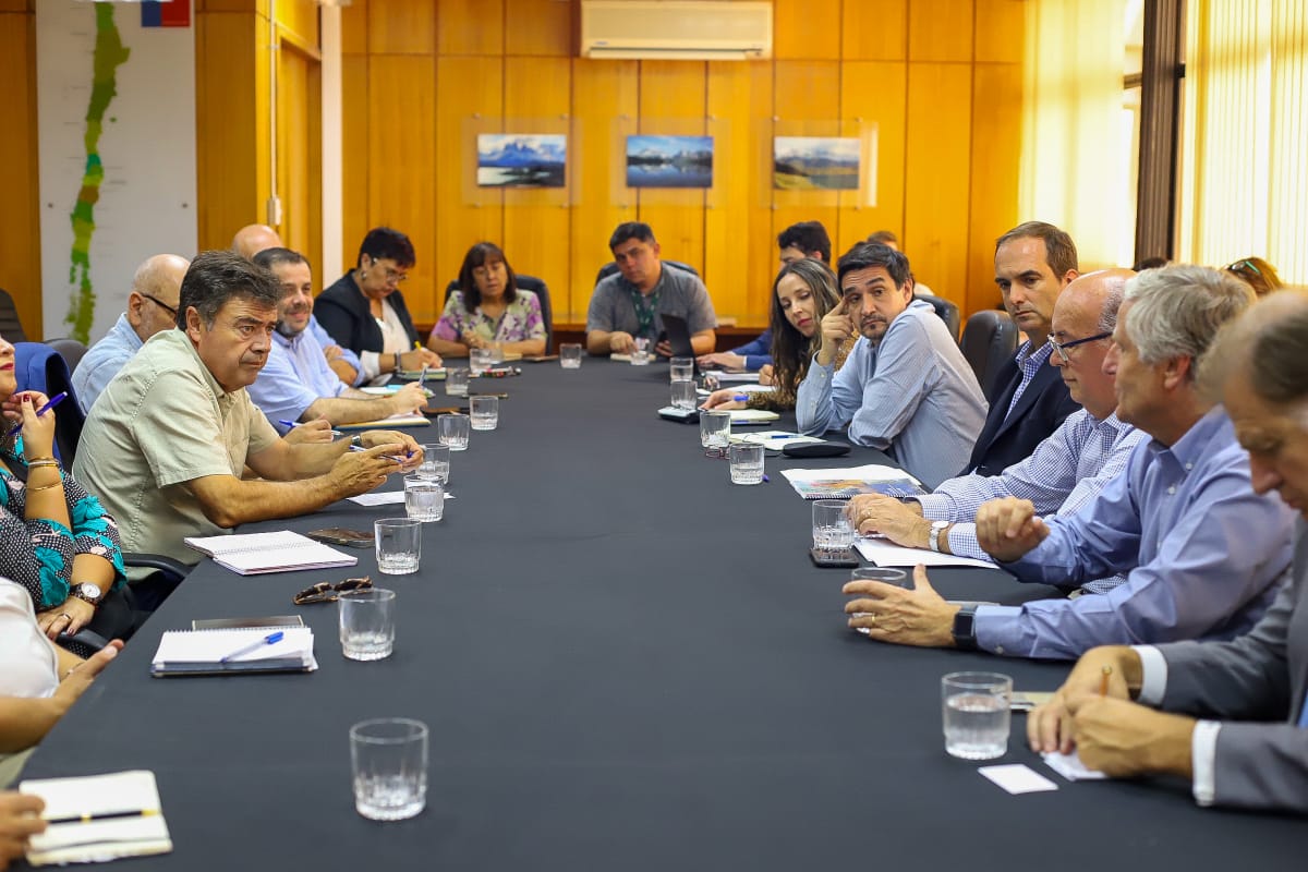 MINISTERIO DE AGRICULTURA CONFIRMA PRIMER CASO DE INFLUENZA AVIAR EN PLANTEL PRODUCTIVO Y SAG AUTO SUSPENDE EXPORTACIONES DE CARNES DE AVE 2