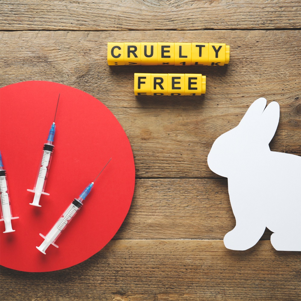A una década de BeCrueltyFree Los cambios que logró esta campaña en nuestro país de la mano de Humane Society International