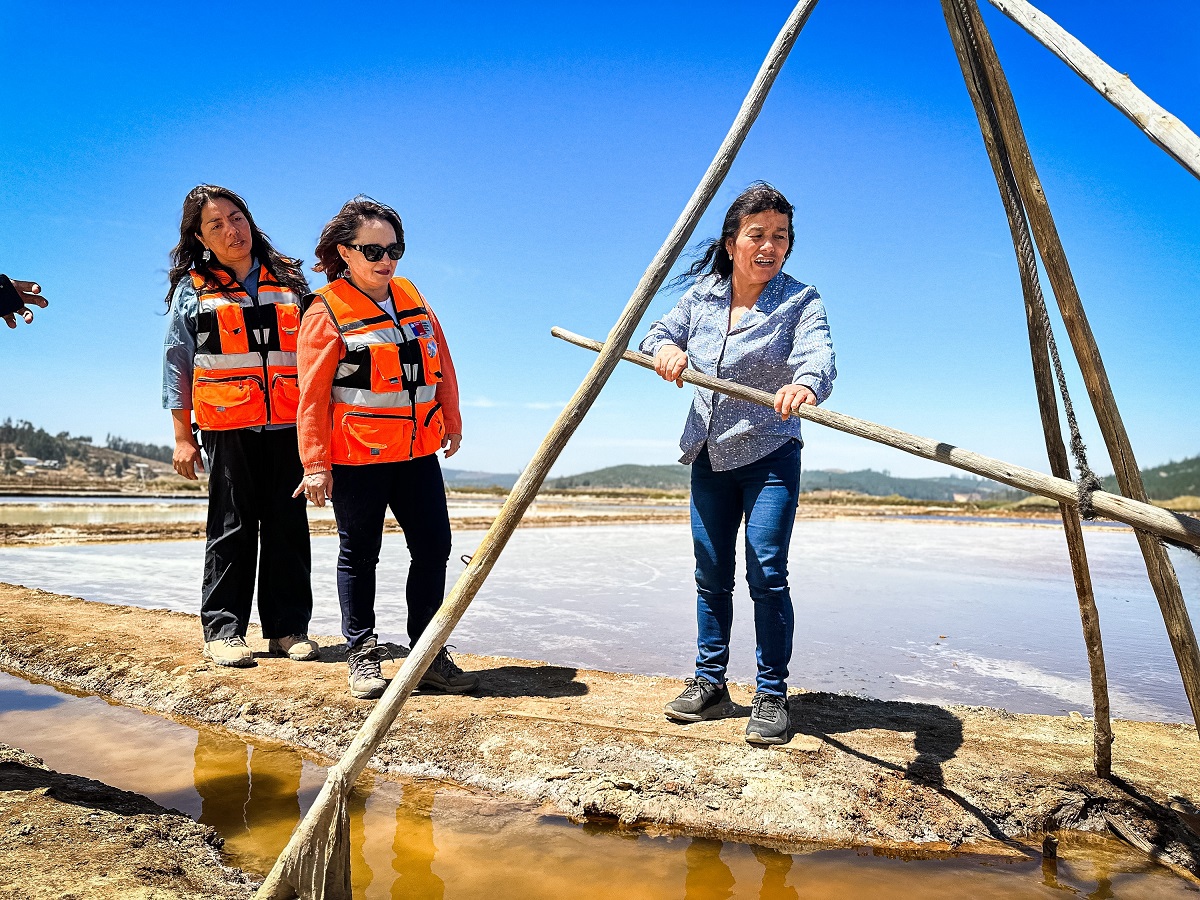 SALINERAS DE PICHILEMU Y PAREDONES RECIBEN EQUIPAMIENTO FINANCIADO A TRAVÉS DEL PAMMA MUJER 1
