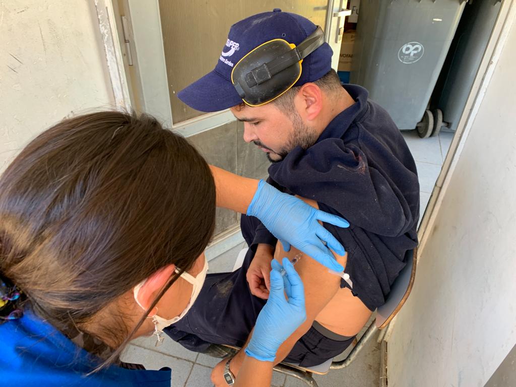 TRABAJADORES DEL ÁREA AVÍCOLA Y DE CERDO COMIENZAN A INMUNIZARSE CONTRA LA INFLUENZA 1