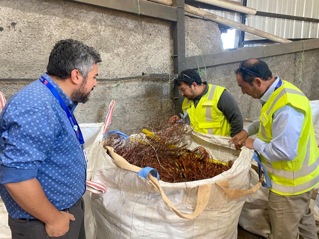 FISCALIZACIÓN EN CHATARRERÍAS DE RANCAGUA PERMITIÓ REALIZAR DECOMISO DE CABLE COBRE Y LUMINARIAS PÚBLICAS 1