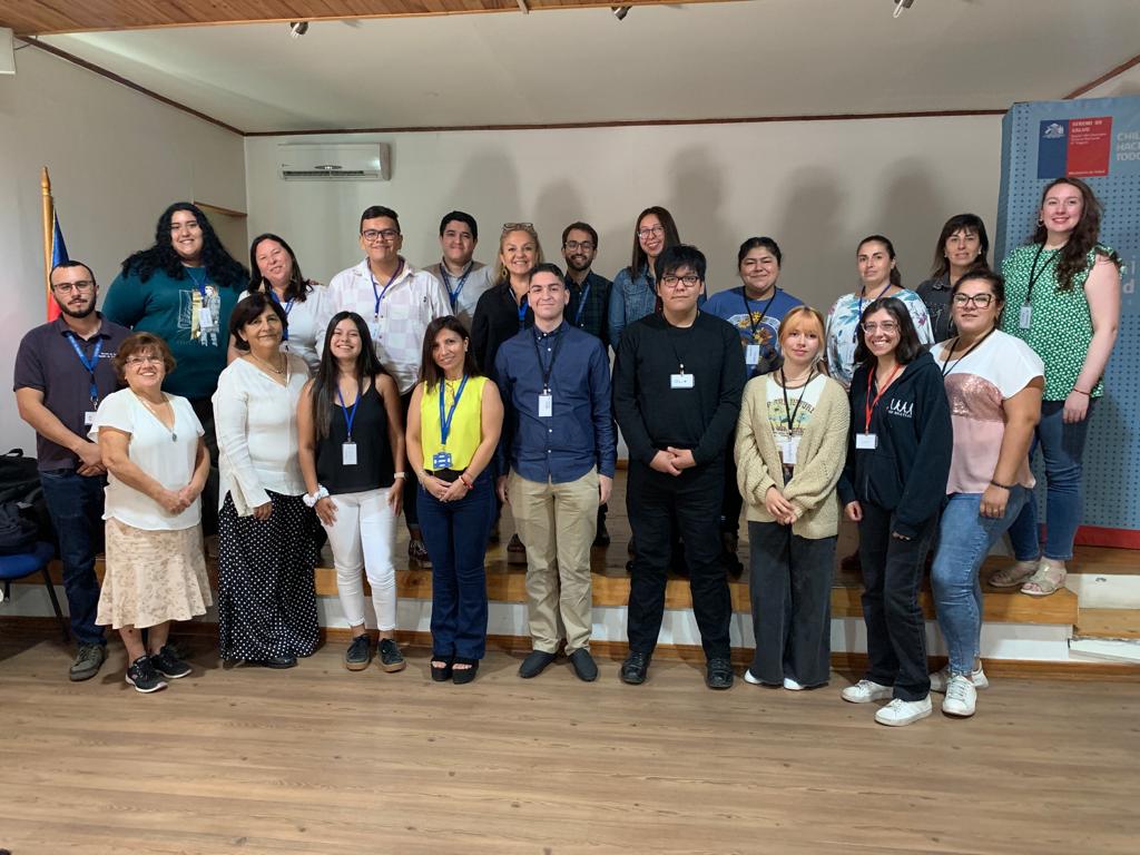CONSEJO ASESOR DE LA SEREMI DE SALUD OHIGGINS INCORPORÓ A ESTUDIANTES UNIVERSITARIOS 2